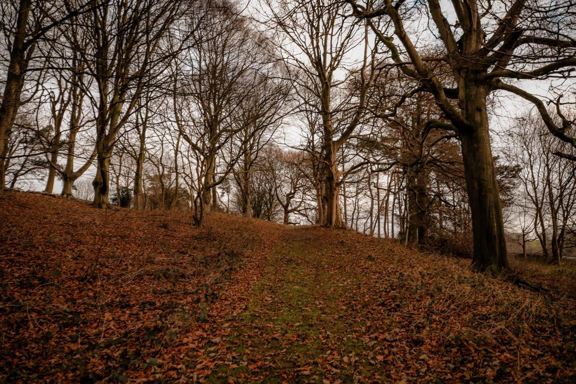 Gallows Hill Скарборо Экстерьер фото